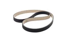 CORREIA COMANDO DAYCO - BELT-IN-OIL